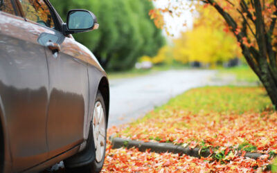 Safe Driving Tips for Fall: Handling Shorter Days & Slick Roads