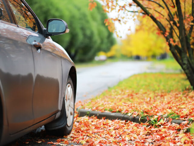 Safe Driving Tips for Fall: Handling Shorter Days & Slick Roads